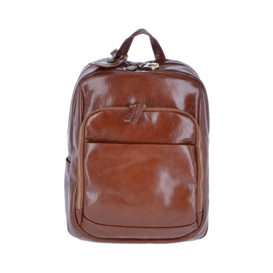 Leather Back Pack