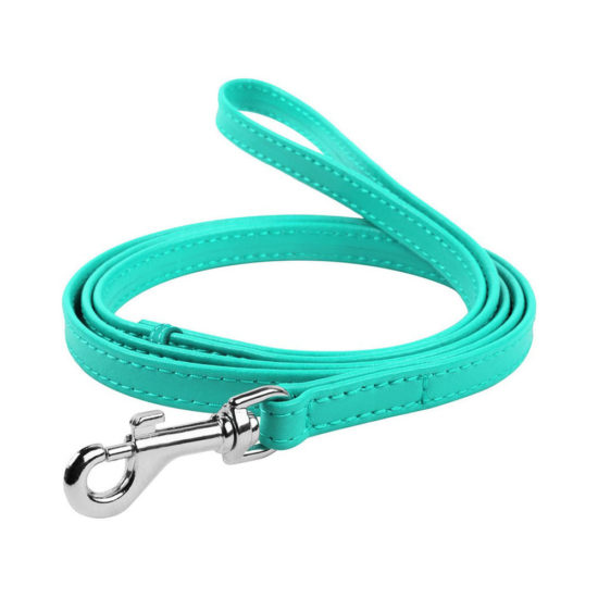 Dog Lead