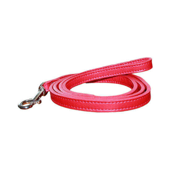 Dog Lead